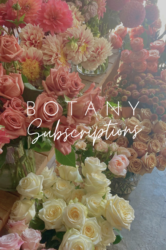flower subscriptions toronto, flower subscription GTA, flower subscription toronto, flower subscriptions eta, subscriptions toronto, subscriptions toronto